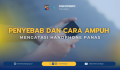 Penyebab dan Cara Ampuh Mengatasi HandPhone Panas 